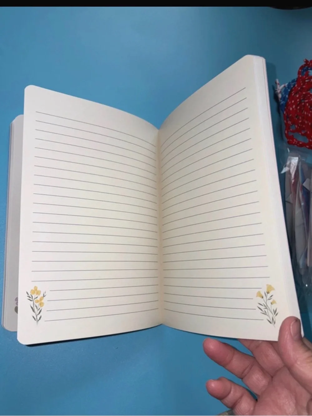 Molly & Rex Dogs Softcover Journal New